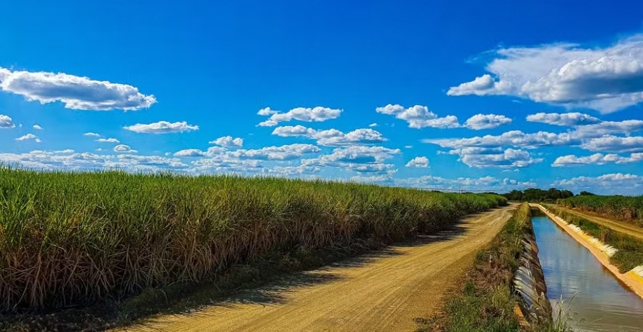 “Clima foi extremamente favorável à safra de cana-de-açúcar no ano passado, contribuindo para a safra que deve ser recorde no Estado', diz Caio César Coimbra — Foto: Diego Vargas/Seapa