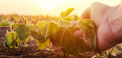 Brasil quer mostrar sustentabilidade do agronegócio no G20