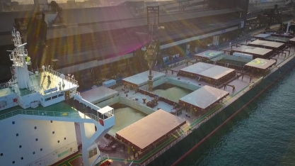 Açúcar se destaca na pauta de exportações pelo Porto de Santos em janeiro