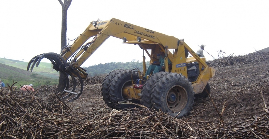 Safra 23/24 - Foto: Assessoria