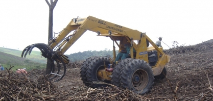 Safra 23/24 tem mais de 16,2 milhões de toneladas de cana beneficiadas