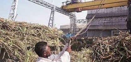 Açúcar: Índia precisa de soma de fatores positivos para voltar a exportar em 2024/25, diz Hedgepoint