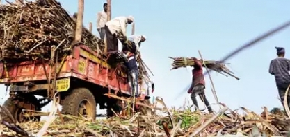 Setor de açúcar da Índia quer desviar mais açúcar para etanol com melhora na safra