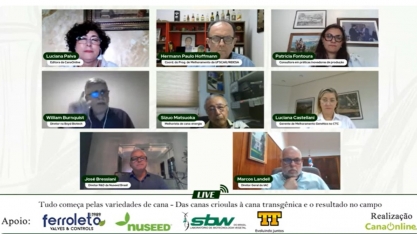 O manejo correto é fundamental para o bom desempenho das variedades de cana