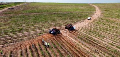 Chuvas: um descanso para a irrigação... Ou não?