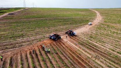 Chuvas: um descanso para a irrigação... Ou não?