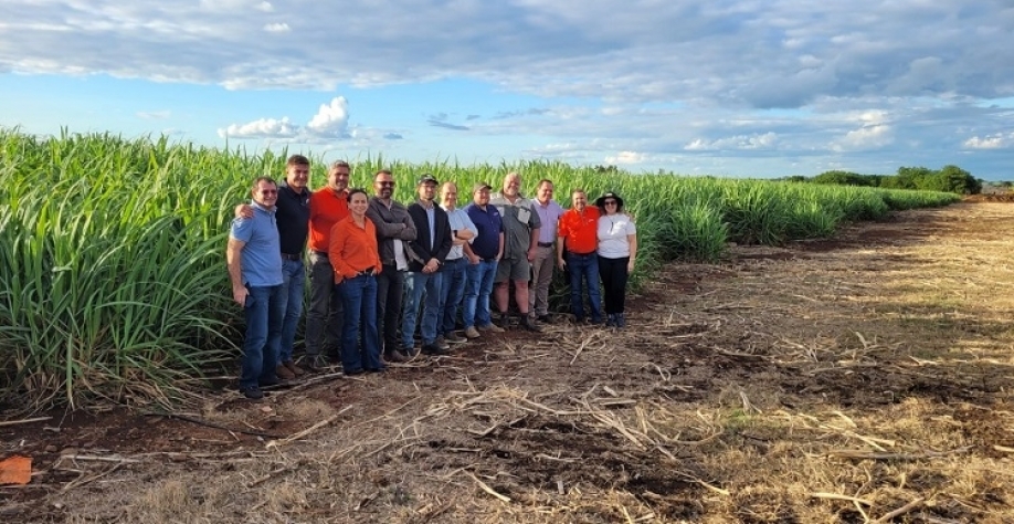 Integrantes da missão técnica que visitou áreas de produção de cana-da-açúcar na África do Sul Divulgação