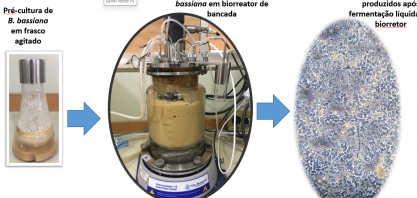 Descoberta pode contribuir com o controle biológico de pragas