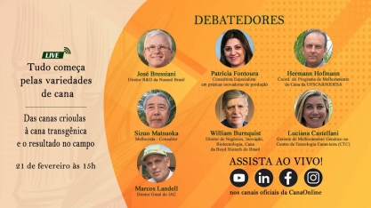 Nesta quarta-feira tem a Live: Tudo começa pelas variedades de cana