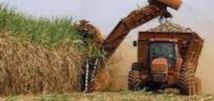 Boa safra de cana deixa etanol mais vantajoso em 17 estados