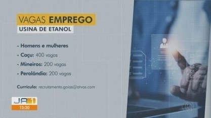 Usina de Etanol oferece mais de 700 vagas de emprego para homens e mulheres
