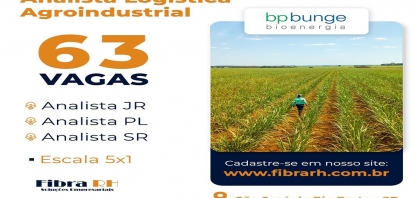 BP Bunge: vaga para analista de logística agroindustrial