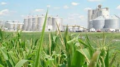 Etanol/EUA: produção aumenta 4,24% na semana, para 1,033 milhão de barris por dia