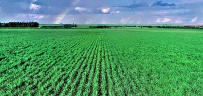 Usina Santo Ângelo anuncia vagas de emprego para região do Triângulo Mineiro