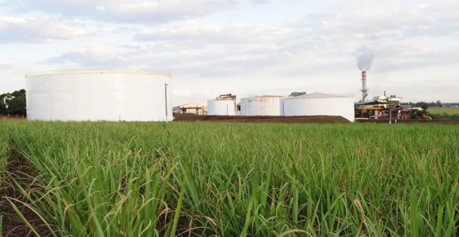 Volume de etanol hidratado vendido pelas usinas do estado de São Paulo em janeiro cresceu 35% em relação ao mês anterior — Foto: Editora Globo