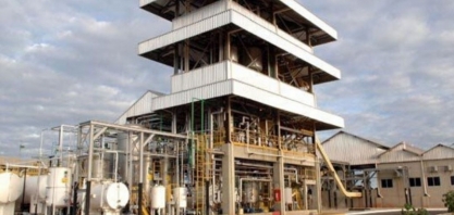 Cepea: Cadeia do biodiesel deve fechar 2023 com R$ 637 bilhões movimentados