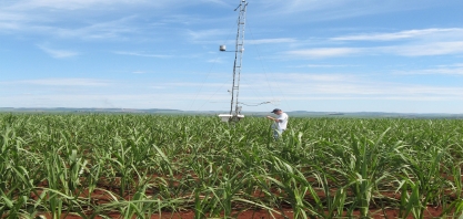 Modelo simula impactos da cana-de-açúcar no sequestro de carbono e nos recursos hídricos