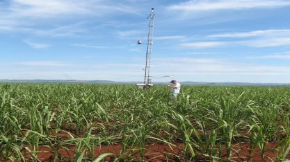 Modelo simula impactos da cana-de-açúcar no sequestro de carbono e nos recursos hídricos