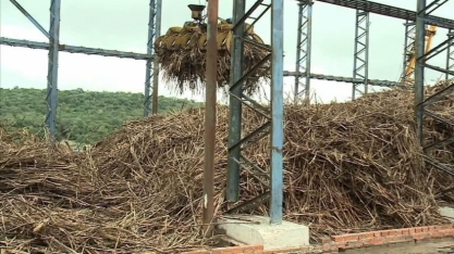 Cana de fornecedor deve ter redução acima de 18%