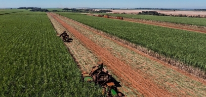 BP Bunge obtém Selo Energia Verde pelo quinto ano consecutivo  