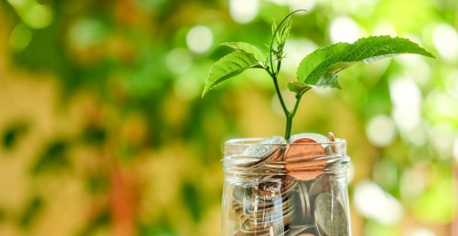 Crédito: Adobe Stock