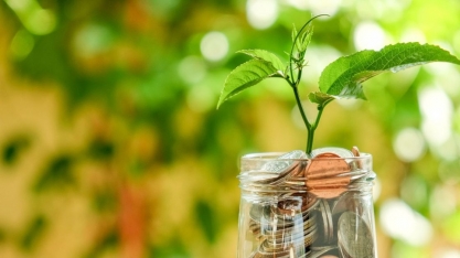 Entenda por que a tendência empreendedora de 2024 são os negócios de impacto