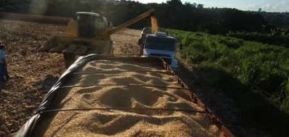 Com produção de etanol de milho em alta, Brasil dobra exportações de DDG