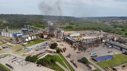 Sindaçúcar-AL: safra 23/24 encerra mês de janeiro com crescimento de 12,2%