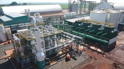 Lucro da CerradinhoBio cresceu 187% no terceiro trimestre da safra