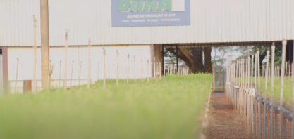 UDOP parabeniza o Programa Cana do IAC pelos 30 anos de excelência e inovação na pesquisa em cana-de-açúcar