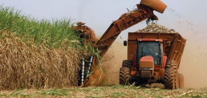 Safra de de cana-de-açúcar cresce 5,9% e atinge 45,8 milhões de toneladas