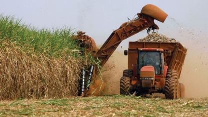 Safra de de cana-de-açúcar cresce 5,9% e atinge 45,8 milhões de toneladas