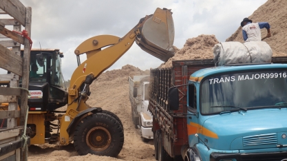 Bagaço da cana: a segunda maior fonte de energia de Alagoas
