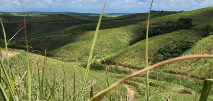 Zona canavieira será marcada por chuva acima da média no próximo trimestre em Pernambuco