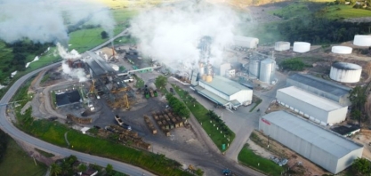 Cooperativa Pindorama aposta em etanol do sorgo