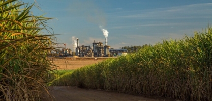 Agronegócio pernambucano bate recorde de exportações em 2023