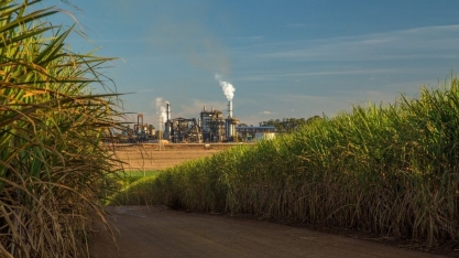 Agronegócio pernambucano bate recorde de exportações em 2023