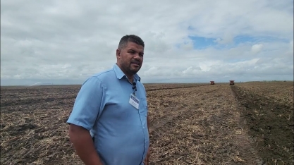 Conferindo o plantio mecanizado de cana na Caeté
