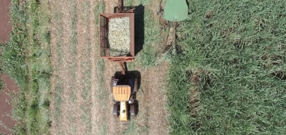 Mesmo com perspectiva de queda na safra da cana-de-açúcar, estoque é suficiente, diz Unica