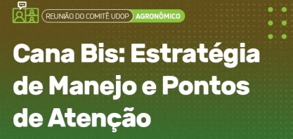 Cana Bis: Estratégia de manejo e pontos de atenção é tema de debata nesta 4ª do Comitê Agronômico da UDOP