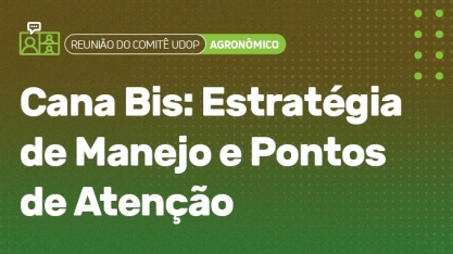 Cana Bis: Estratégia de manejo e pontos de atenção é tema de debata nesta 4ª do Comitê Agronômico da UDOP
