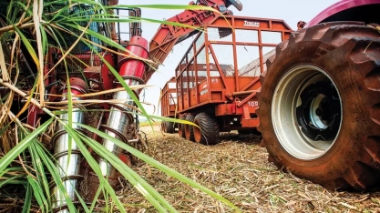 Brasil e EUA debatem rever barreiras ao açúcar em troca de liberação ao etanol de milho