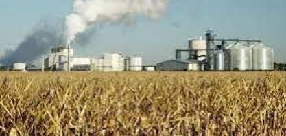 Biocombustíveis/EUA: governo ainda não concluiu atualização de modelo que poderia favorecer etanol