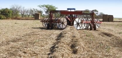 Produtores de biomassa defendem votação do PL dos CBios em comissão na Câmara