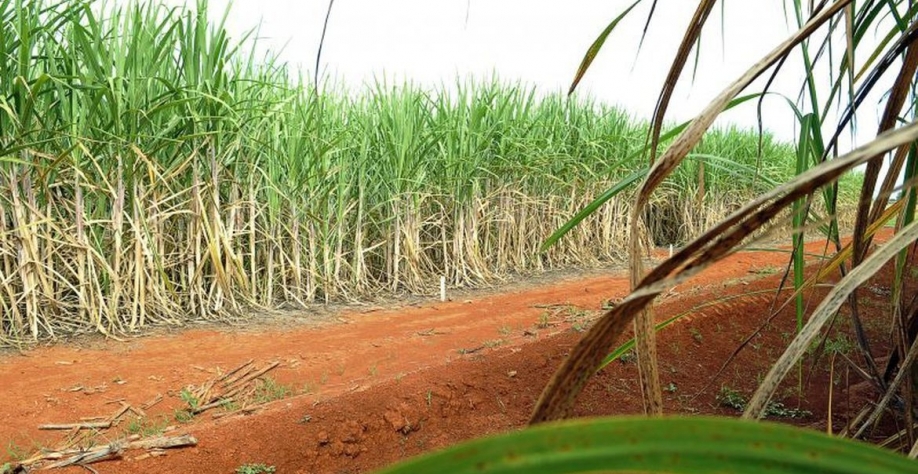 Elza Fiúza/Agência Brasil