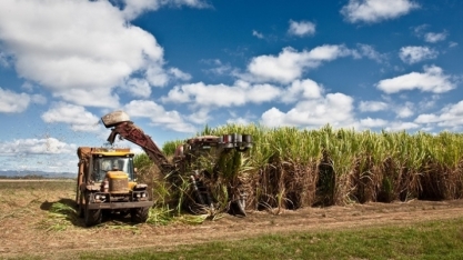 Projeto Brazil Sugarcane leva empresas brasileiras para El Salvador
