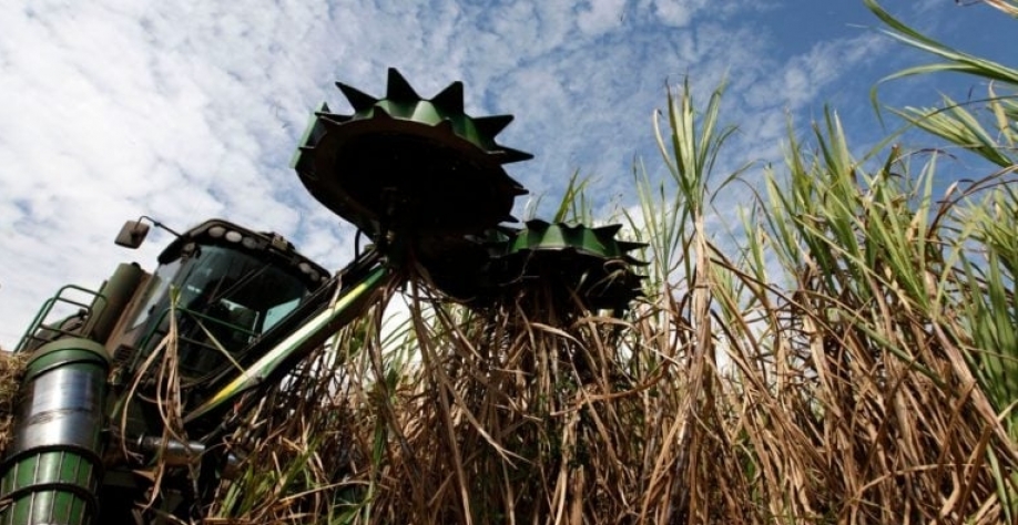 Apesar do aumento da capacidade de produção de açúcar, é improvável que o Brasil produza mais do adoçante na nova temporada do que em 2023/24. Nacho Doce/Reuters