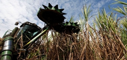 Usinas do Brasil elevam capacidade de açúcar e 