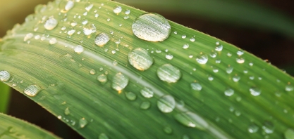 Câmara aprova projeto de incentivo à transição energética