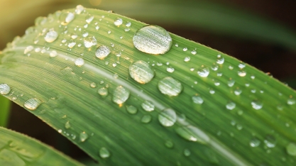Câmara aprova projeto de incentivo à transição energética